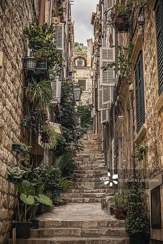 克罗地亚，杜布罗夫尼克，老城区狭窄的小巷里的台阶和植物图片素材