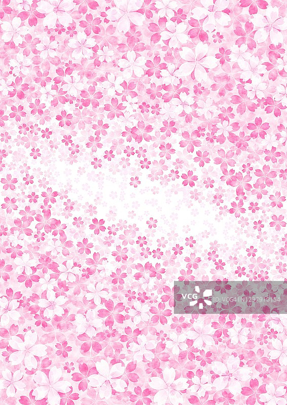 樱花在屏幕上对角扩散的插图图片素材