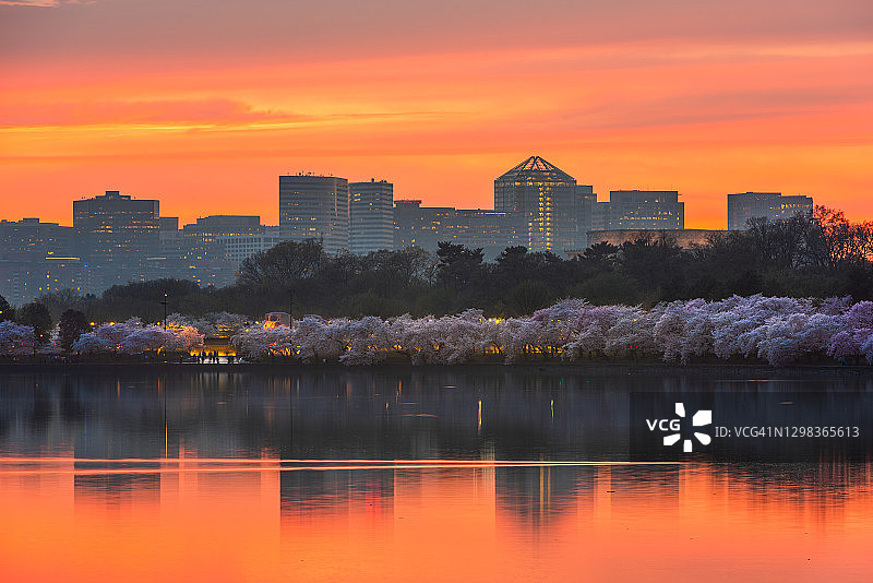 罗斯林，阿灵顿，弗吉尼亚州，美国从潮汐盆地在华盛顿特区黄昏图片素材