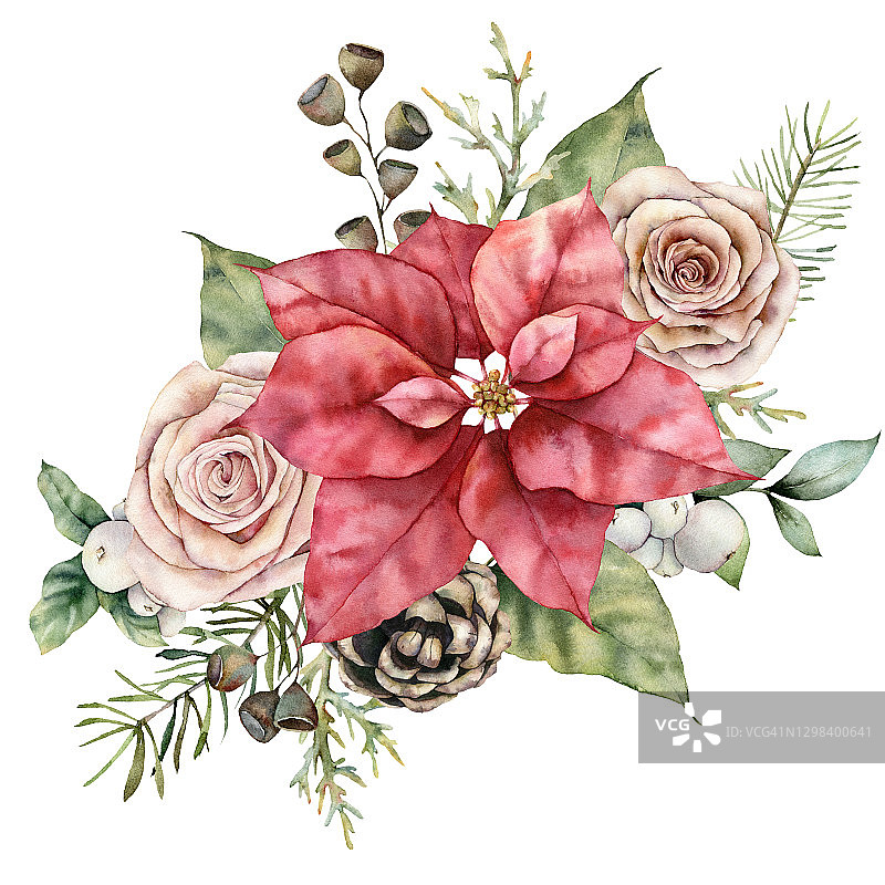 水彩圣诞花束与红一品红，粉红玫瑰和松果。手绘花，叶和雪莓孤立在白色的背景。插图设计，印刷或背景。图片素材