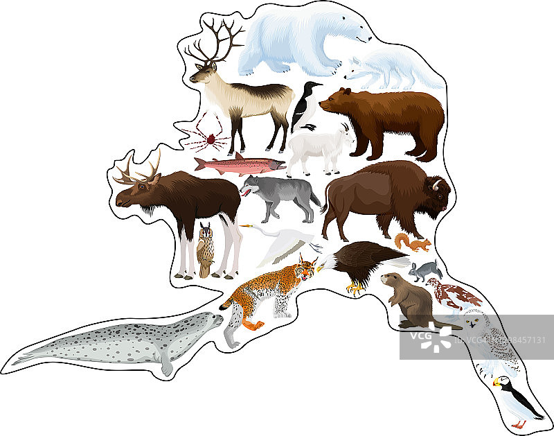 阿拉斯加动物矢量地图:北极熊，秃鹰，驼鹿，猞猁，海狸，螃蟹，狐狸，猫头鹰，海豹，野牛，熊，山羊，驯鹿，狼图片素材