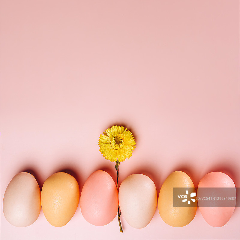 创造性的平躺照片的复活节彩蛋在彩色的背景。图片素材