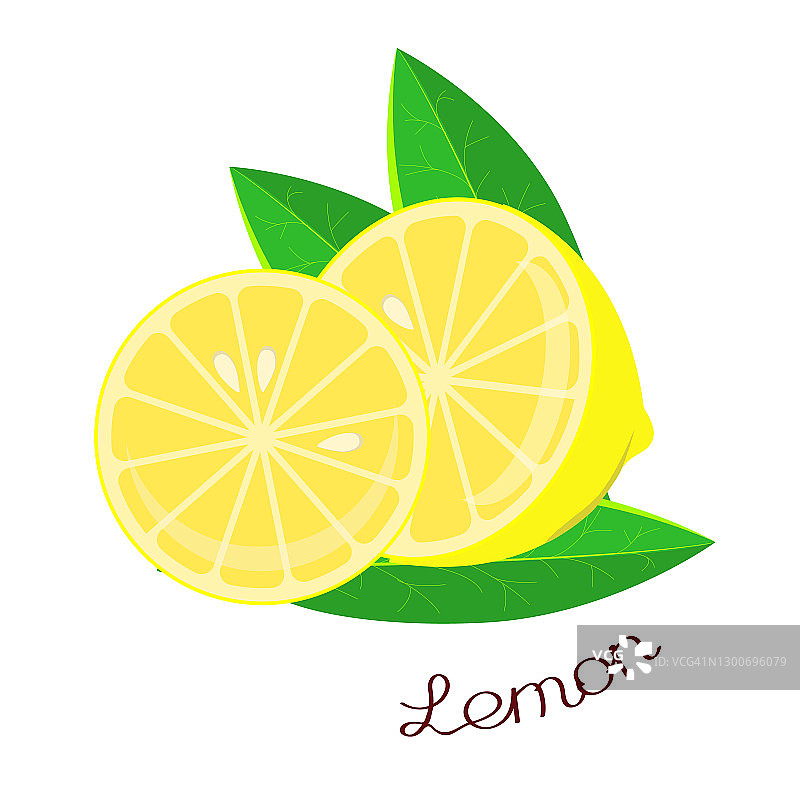 半个柠檬，切一片叶子，刻上植物的名字。矢量插图孤立在白色背景上。手绘图片素材