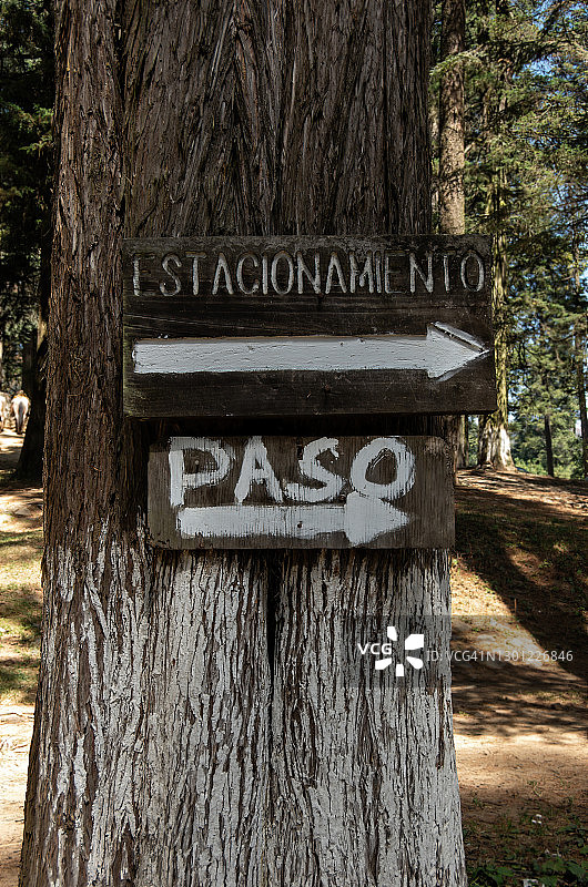 在森林停车场，钉在松树树干上的西班牙语“Estacionamiento”(停车)和“Paso”(通行/移动)标志图片素材