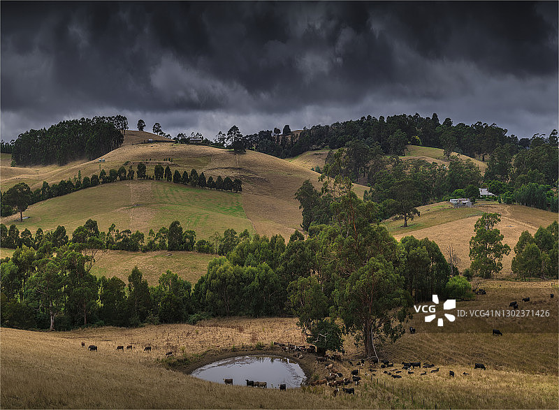澳大利亚维多利亚州肥沃的南吉普斯兰里昂加萨地区的一个宏伟的乡村农业地区。图片素材