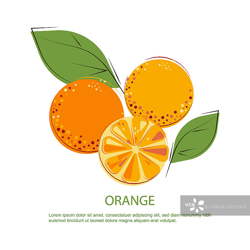 阳光明媚，多汁的橘子，绿叶。整个橙子和切橙子的成分。图片素材