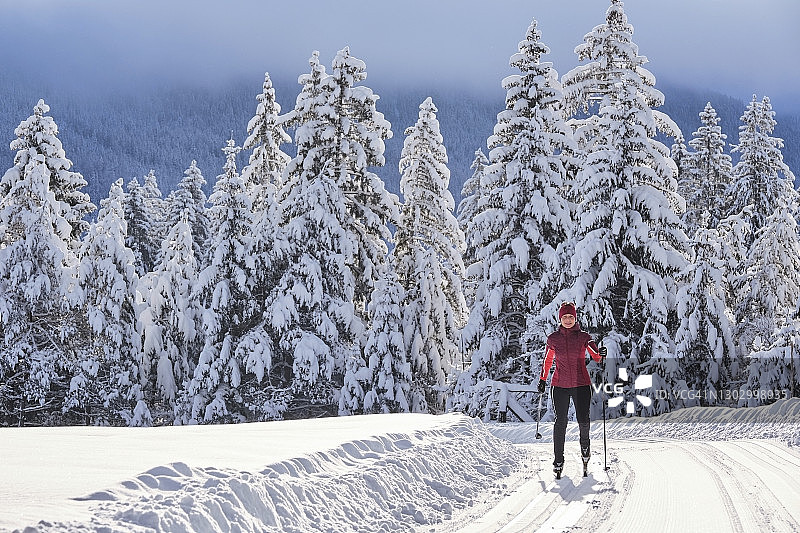 高级探险人员在森林里的山坡上滑雪图片素材