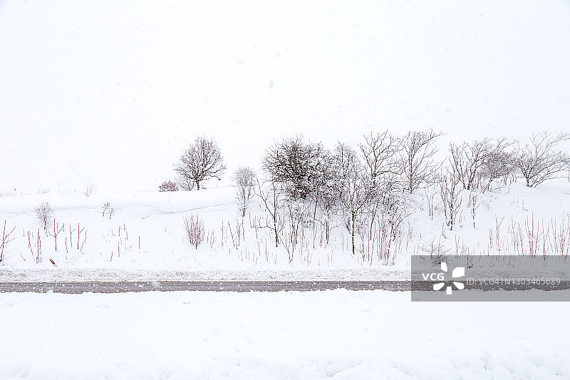 下雪期间的高速公路，冻结的沥青和积雪的树木。图片素材