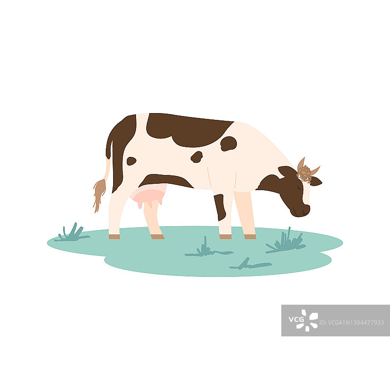 牛，牛奶动物放牧在草地农业农场矢量插图。图片素材