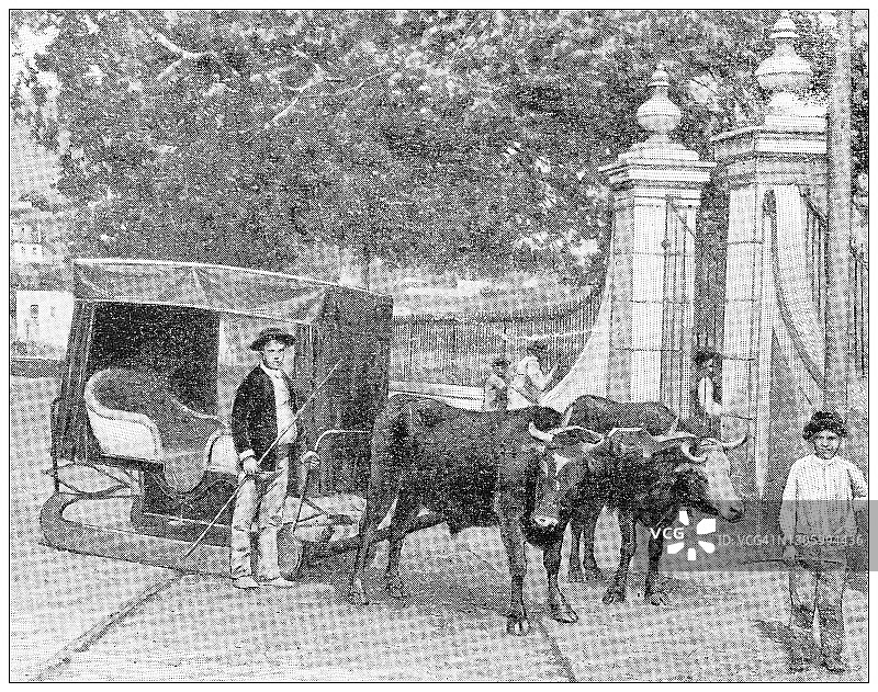 古董黑白照片:不同的汽车，推车和马车的世界，马德拉图片素材