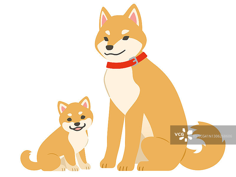 日本柴犬的父母和孩子的插图图片素材