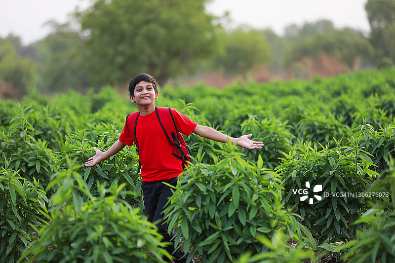 可爱的印度孩子与袋在农田图片素材