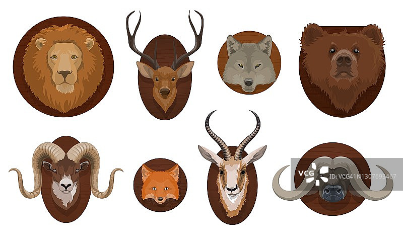 狩猎战利品，野生动物头部装上向量图片素材