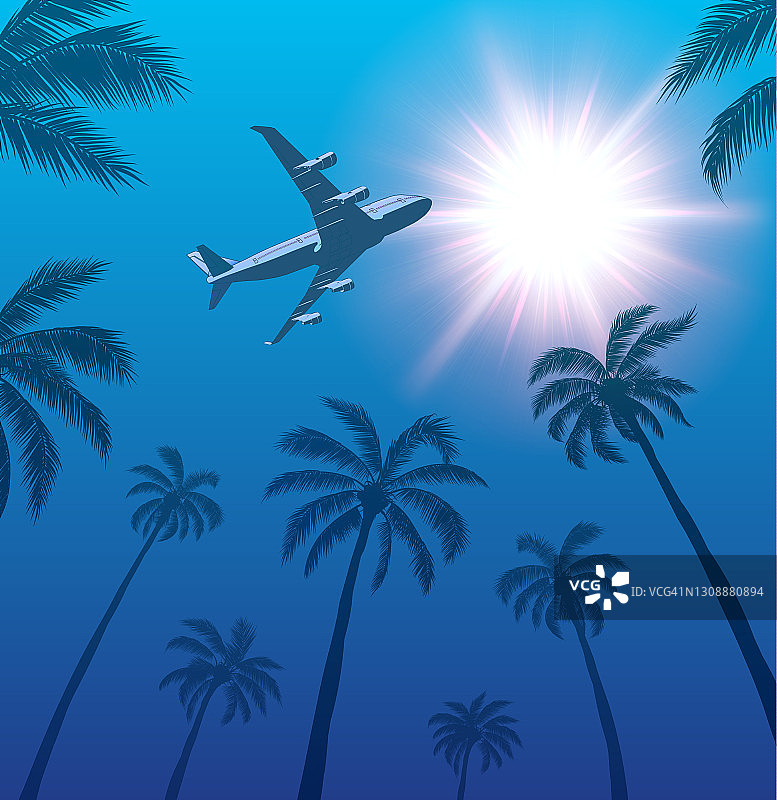 棕榈树上空的客机和天空中的太阳图片素材