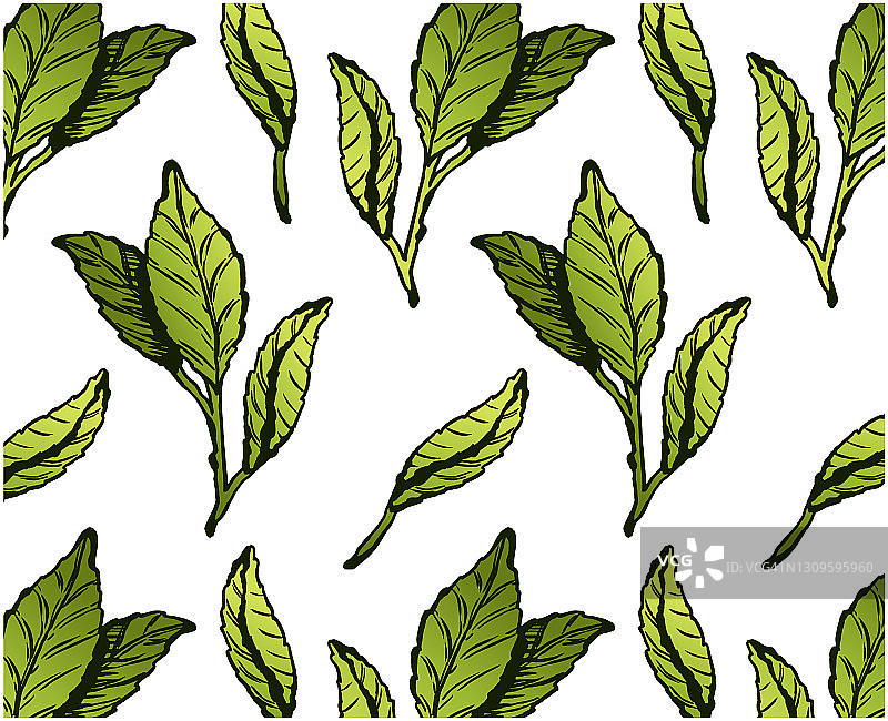 绿茶叶图案图片素材