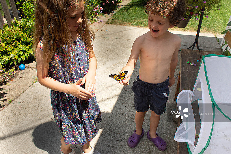 高角度的男孩抱着帝王蝶，而站在他的院子里图片素材