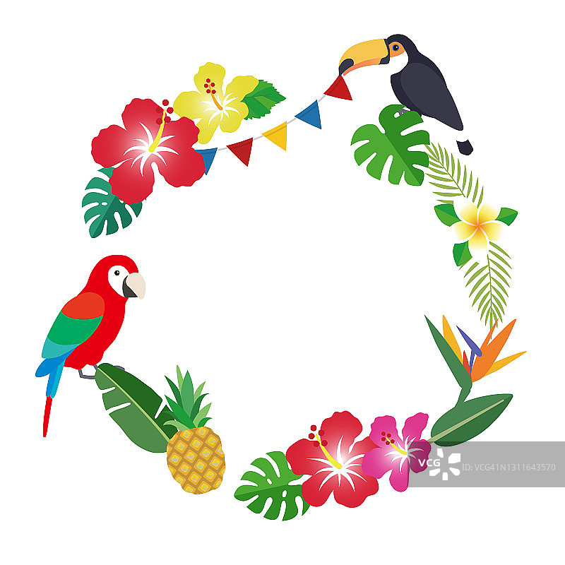 热带花和叶框架，背景装饰插图图片素材