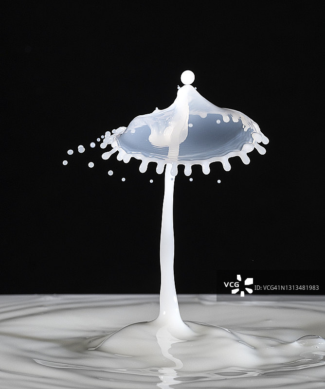牛奶滴碰撞(水蘑菇)，在一个黑色的背景图片素材