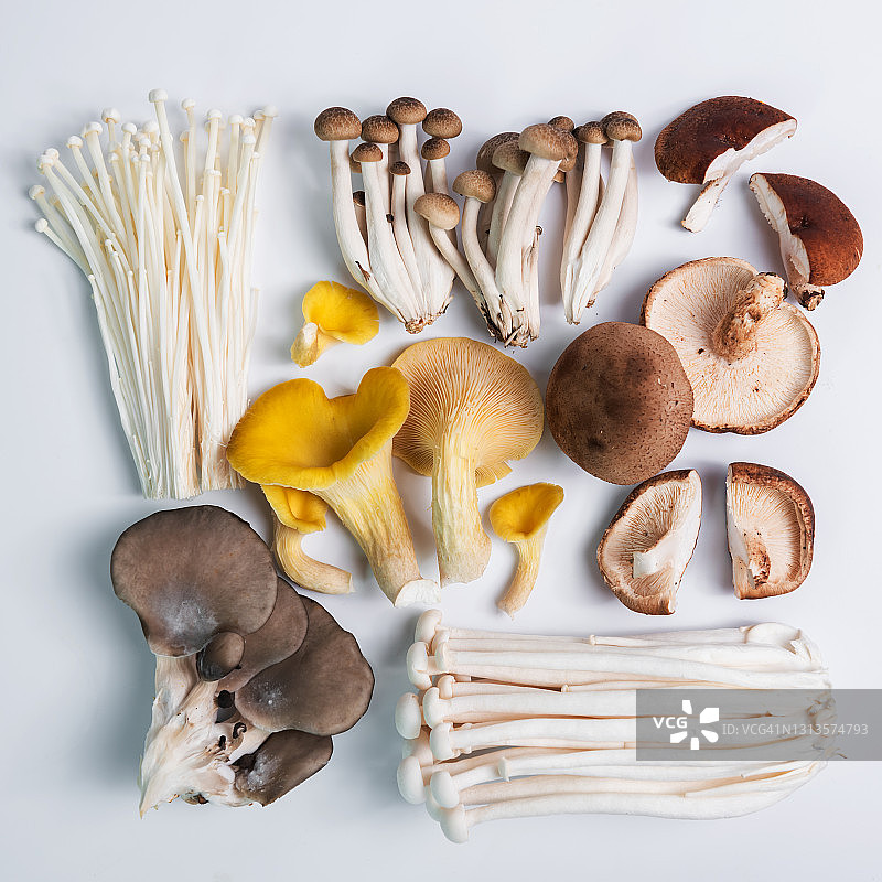 白底鲜生蘑菇，石鸡菇，黄色平菇图片素材