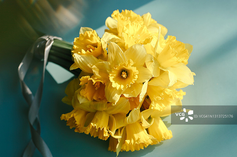 一束春天的黄色水仙花在蓝色的背景。春节贺卡，母亲节。图片素材