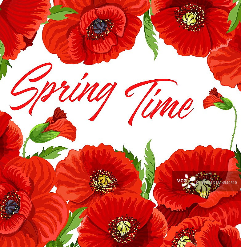 春天的海报与红色的罂粟花图片素材