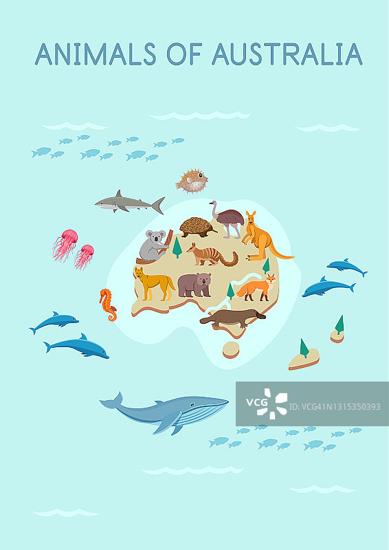 澳大利亚动物地图:袋鼠，考拉，鸭嘴兽，针鼹，野狗，鳄鱼，乌龟，狐狸，袋熊，鸵鸟鸸鹋。平面卡通插图的孩子。图片素材
