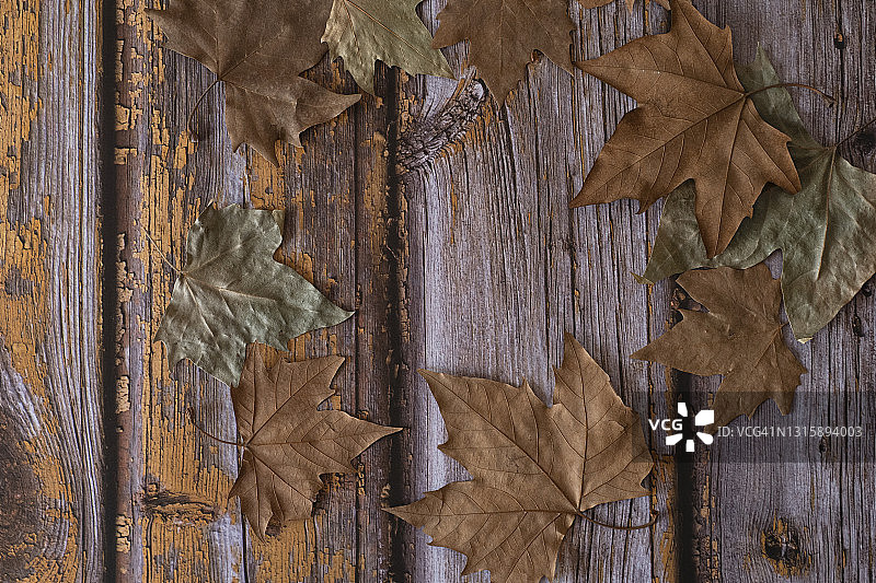 枯叶在乡村木制背景-秋天图片素材