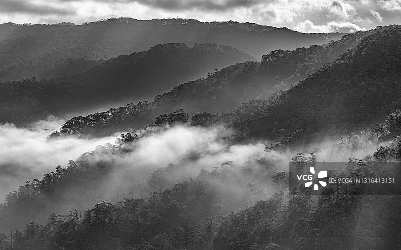 层叠的山谷与云和雾- B&W图像图片素材