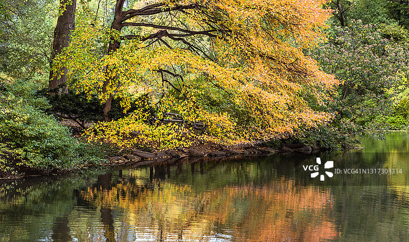 纽约中央公园的秋叶和水倒影图片素材