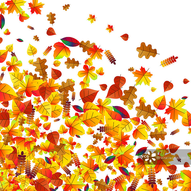 秋叶散落的背景。橡树、枫木和花楸图片素材