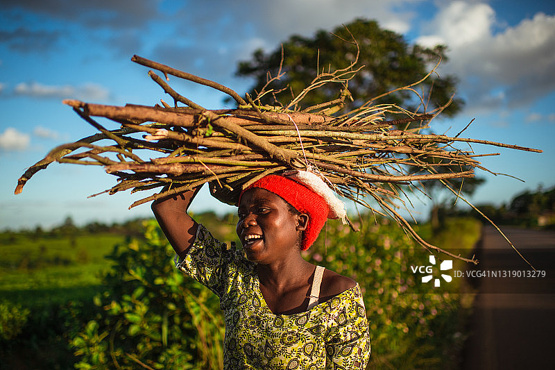 一名年轻的非洲妇女在茶园旁边，头上扛着一捆柴火图片素材