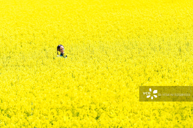一个迷人的金发女人站在一大片黄色的花中间。你只能看到他的头。这些花被称为油菜籽或菜籽油。图片素材