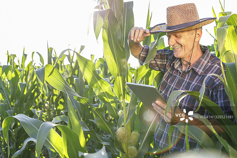 农民一边调整草帽一边看数字平板电脑图片素材