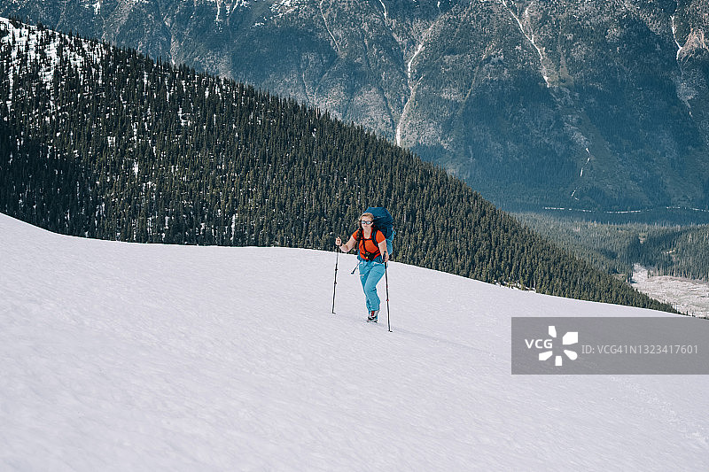 女性登山徒步沿着白雪覆盖的高山山脊高高于彭伯顿附近的森林山谷，BC图片素材