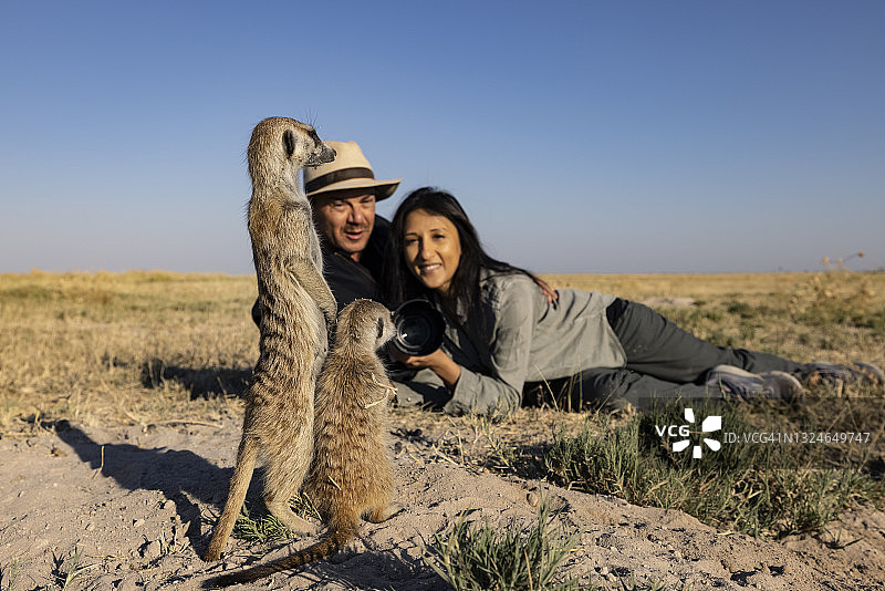 有趣的可爱的动物。一个男性和女性游客的特写肖像拍摄和互动与一小群猫鼬图片素材