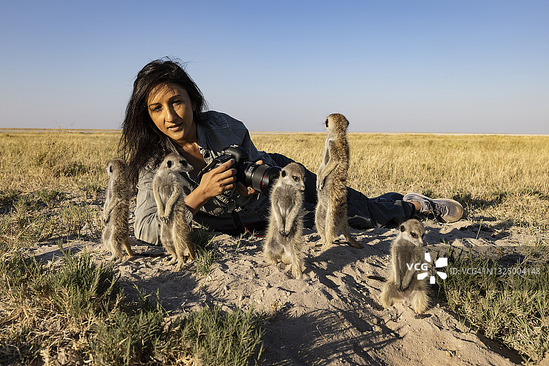 有趣的可爱的动物。特写肖像的一个女性游客拍摄和互动与一小群猫鼬图片素材