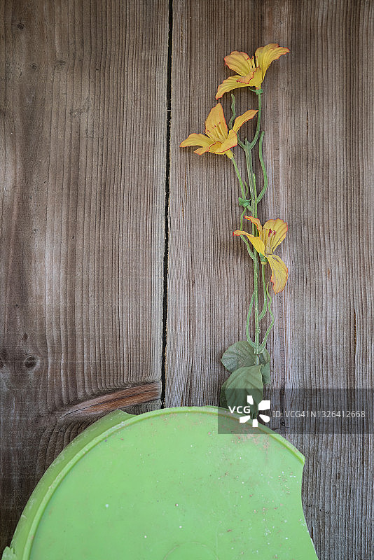 木质背景上的黄色花朵图片素材