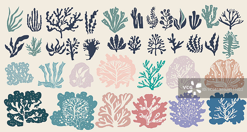 水下海洋植物集海藻、植海藻、海藻图片素材