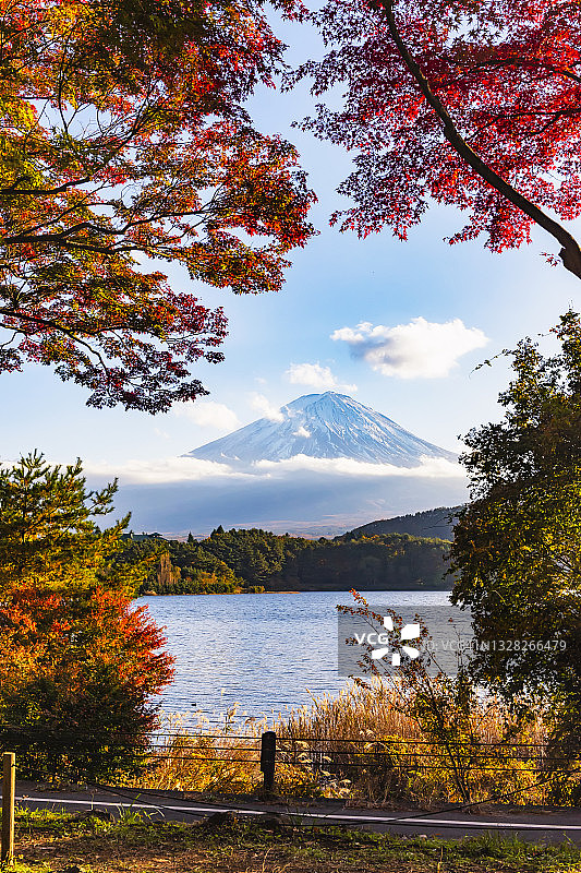 日本川口湖的富士山和秋天的红枫图片素材