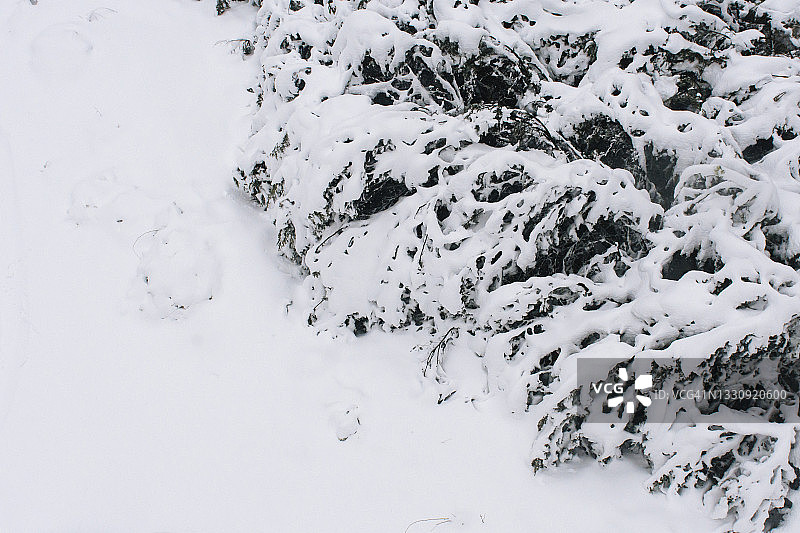 白雪皑皑的灌木丛和开阔的田野，鸟瞰冬天的风景图片素材