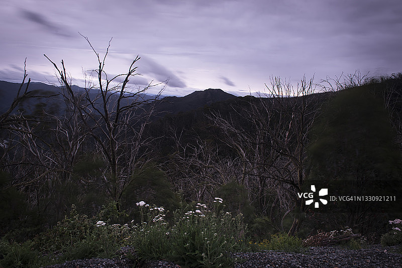 黄昏时美丽的山谷景观，澳大利亚布勒山图片素材