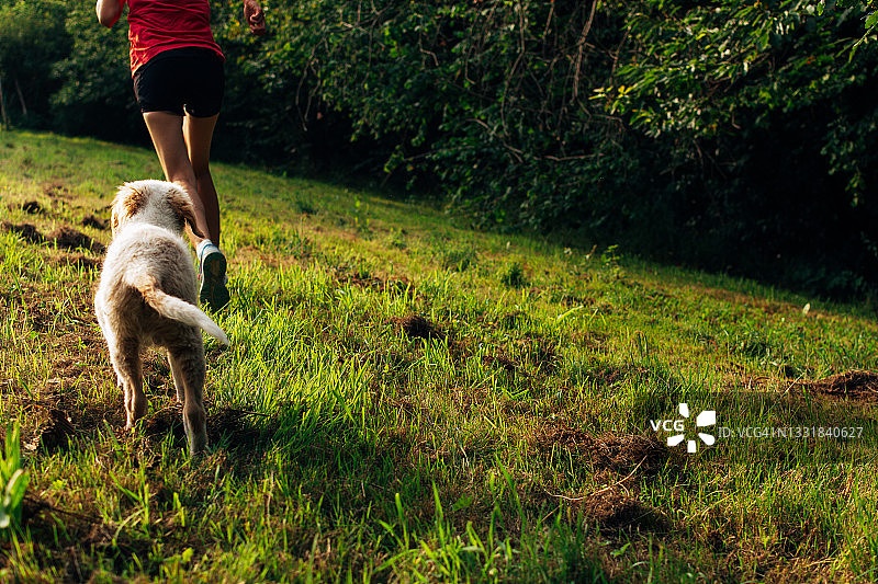 一个阳光明媚的日子，一个女人带着她的小狗在绿色的草地上奔跑。图片素材