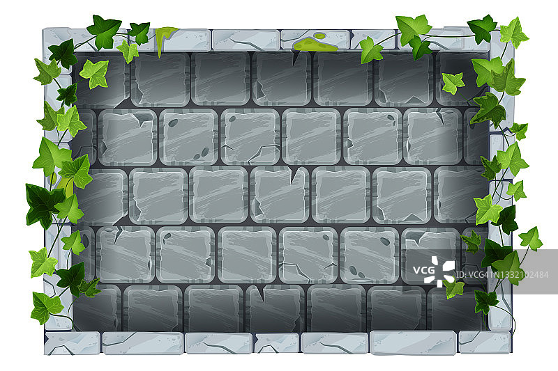 灰色石墙，矢量石瓦纹理，古砖背景，绿色常春藤叶，爬山虎植物。图片素材