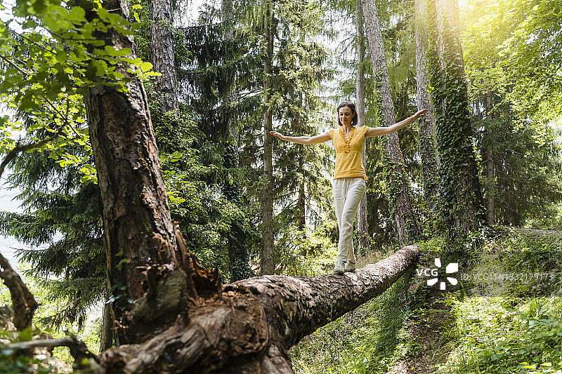 在森林里的一棵树上行走时，双臂伸开保持平衡的女人图片素材
