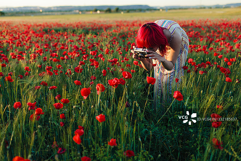 一个红发女人在日落时用相机拍摄罂粟花图片素材