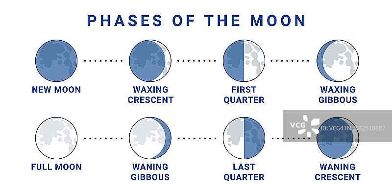 月球阶段的概念。从新月到满月的整个周期。矢量图图片素材