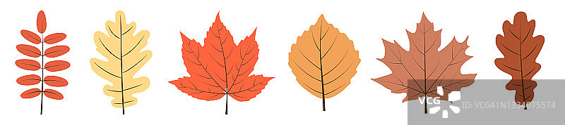 秋天的落叶上套着白色图片素材