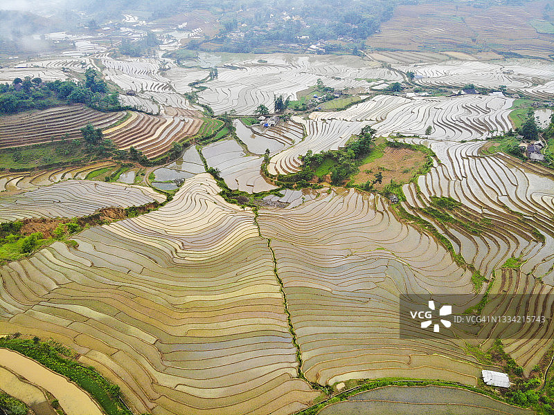 越南北部黎洲省的大冷水稻梯田图片素材
