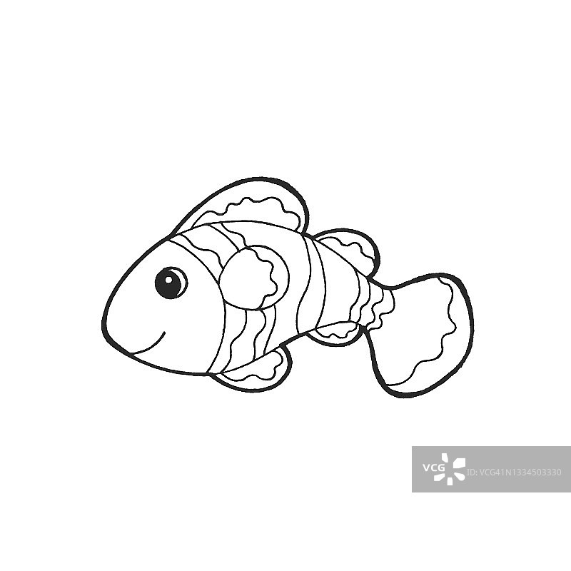 Ocellaris小丑鱼动物鱼自然艺术手绘插图设计素描涂鸦黑色白色卡通图片素材