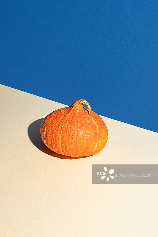 蓝色背景上的秋季橙色南瓜的创意布局。创造性的感恩节的概念。图片素材